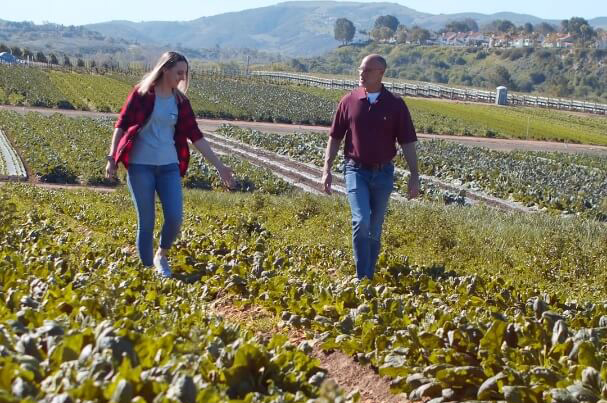 Mejoramiento de Suelos Agricolas con Melaza de Caña