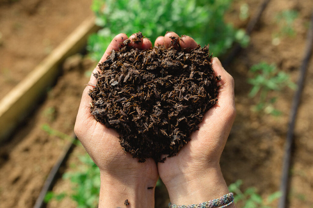 Bokashi para una agricultura sostenible