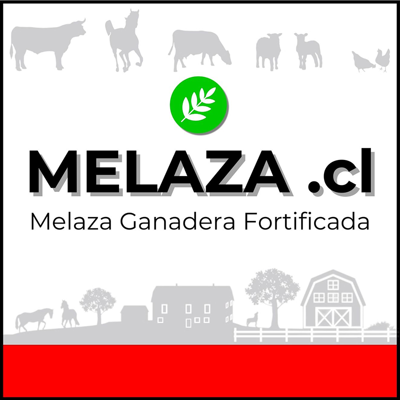 Melaza Ganadera Fortificada