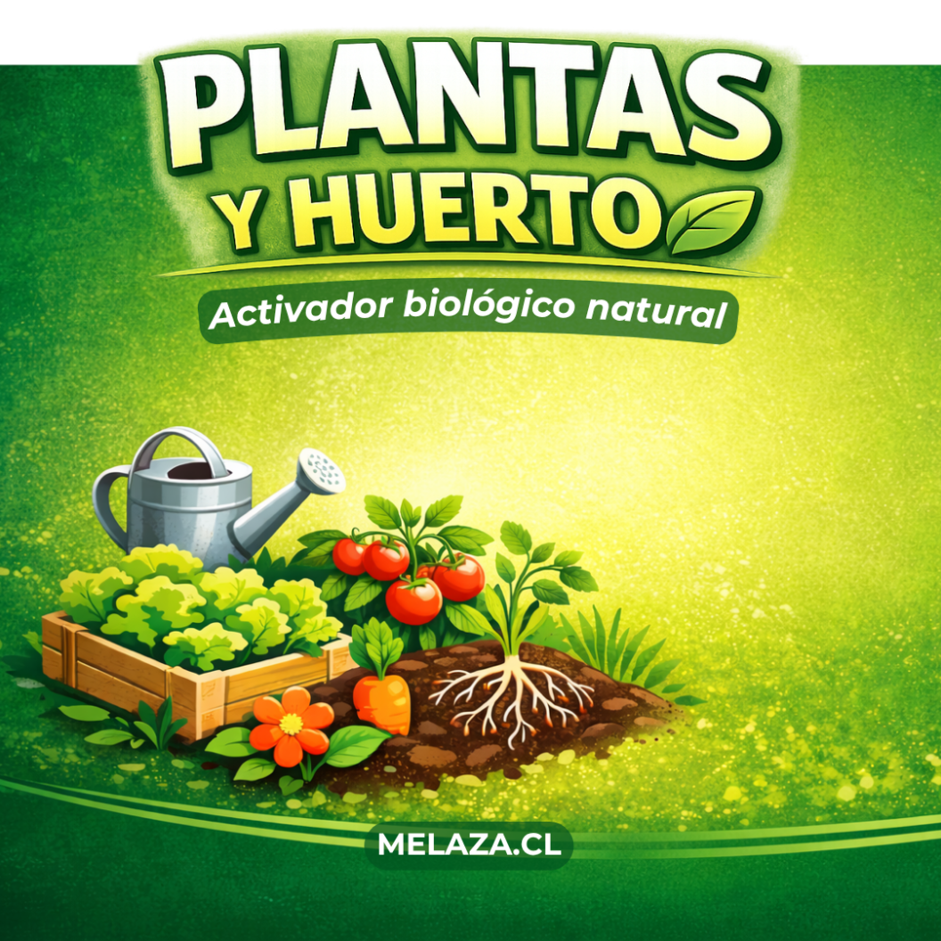 Etiqueta Simple de Melaza para Plantas y Huertos